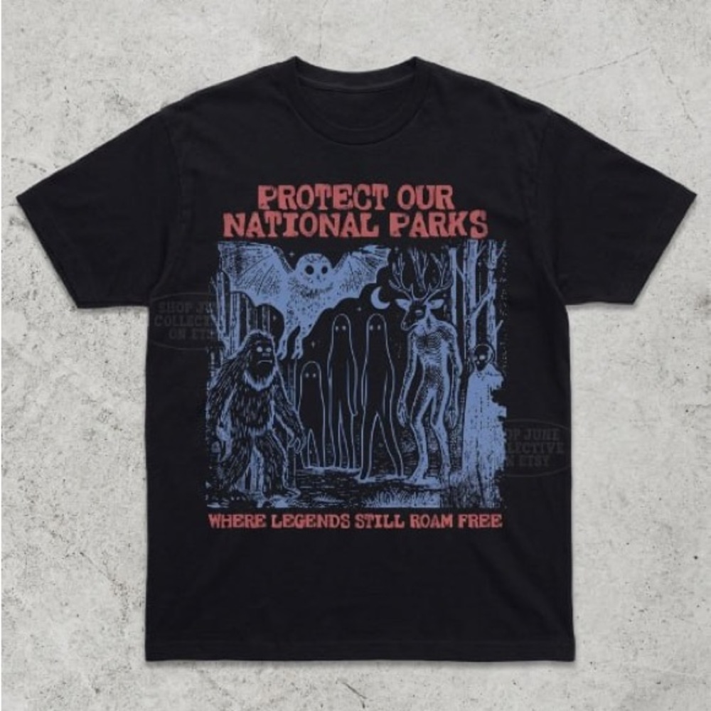 Protect Our National Parks Graphic Tee - Black